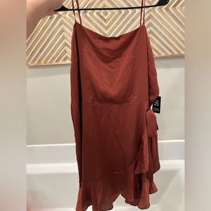 NWT Express Dress